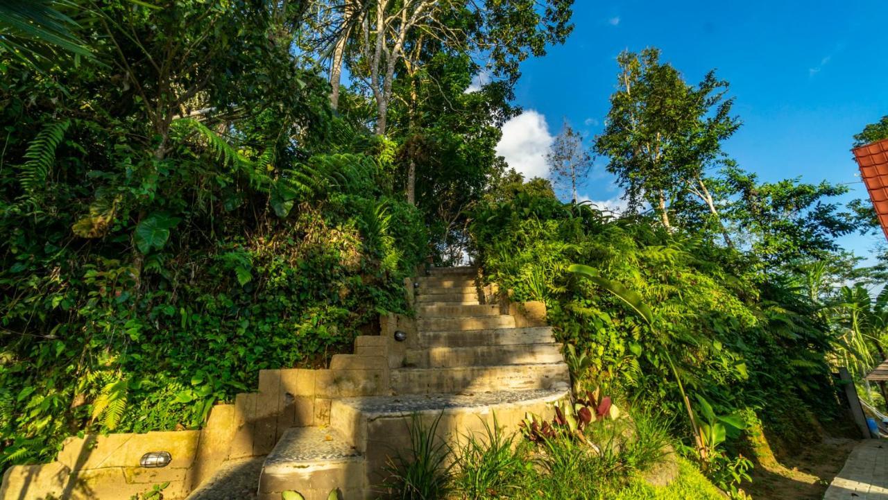 Anja Villas Ubud Tegallalang  Dış mekan fotoğraf